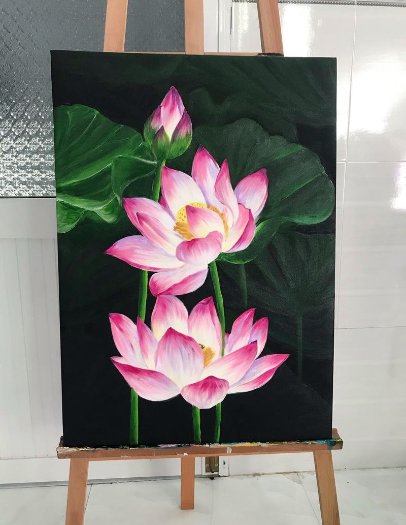 Phác họa hoa sen trong hồ nước với cánh hồng