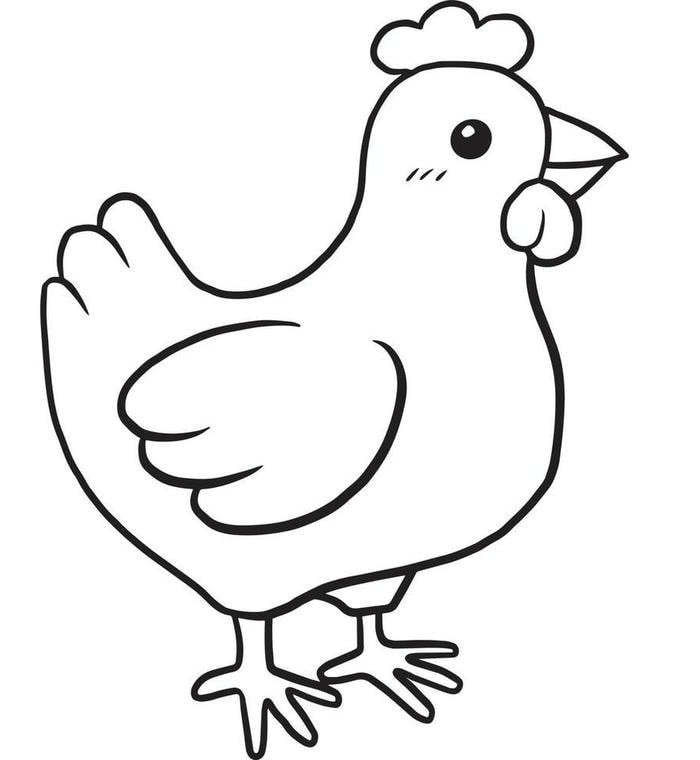 Phác thảo đàn gà con ngộ nghĩnh cho bé