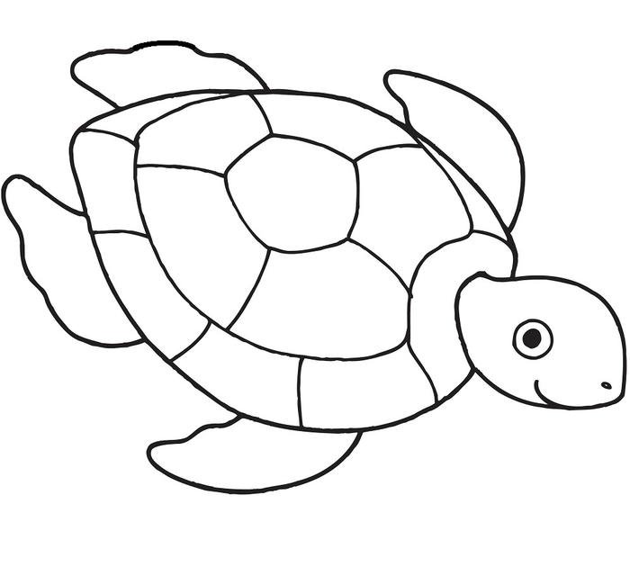 Phong cách hoạt hình mẫu vẽ tranh con rùa