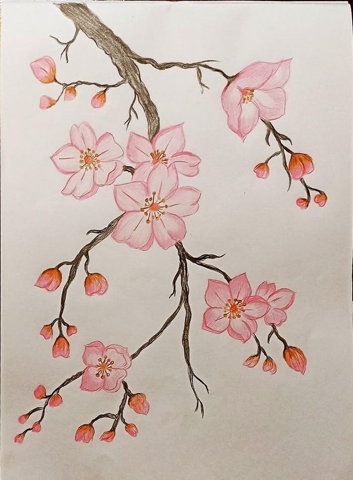 Sắc hồng dịu nhẹ thể hiện qua tranh vẽ hoa đào