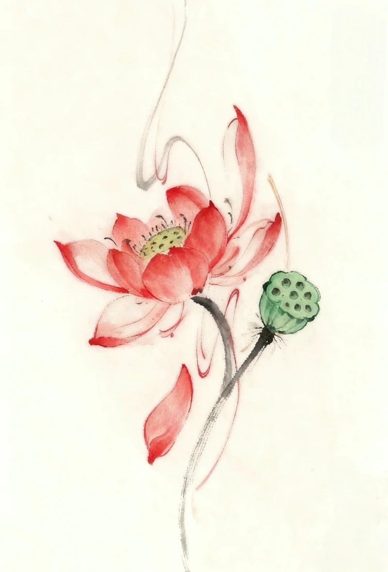 Tác phẩm vẽ tranh hoa sen phong cách mỹ thuật