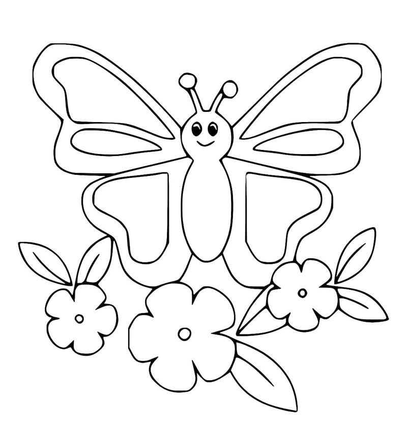 Tô màu hình con bướm cute cho bé luyện vẽ