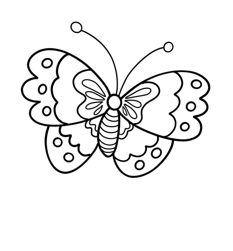 Tranh minh họa cánh bướm đẹp cho trẻ tập phối màu