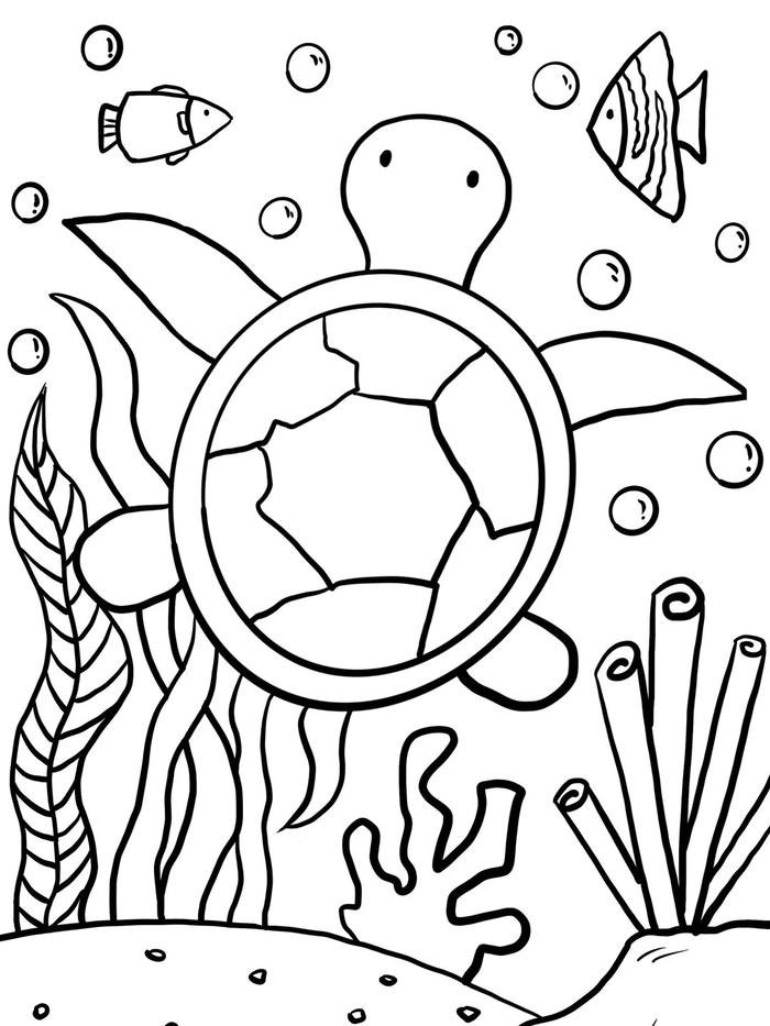 Tranh tô màu con rùa đẹp nét đậm rõ ràng