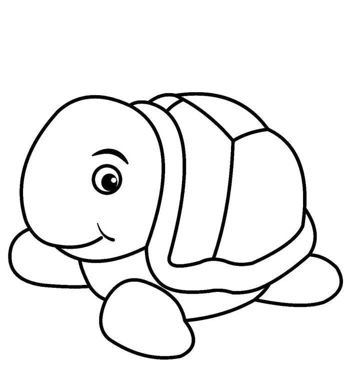 Tranh tô màu con rùa phù hợp trẻ mẫu giáo