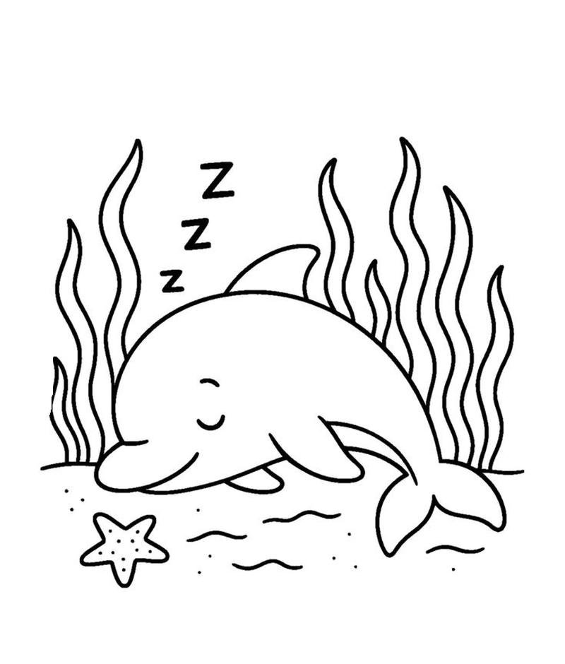 chủ đề cá heo nhỏ vui nhộn cho bé tập tô mỗi ngày