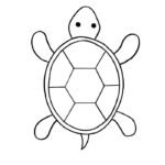 chủ đề tranh tô màu con rùa cho học sinh mẫu giáo