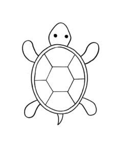 chủ đề tranh tô màu con rùa cho học sinh mẫu giáo