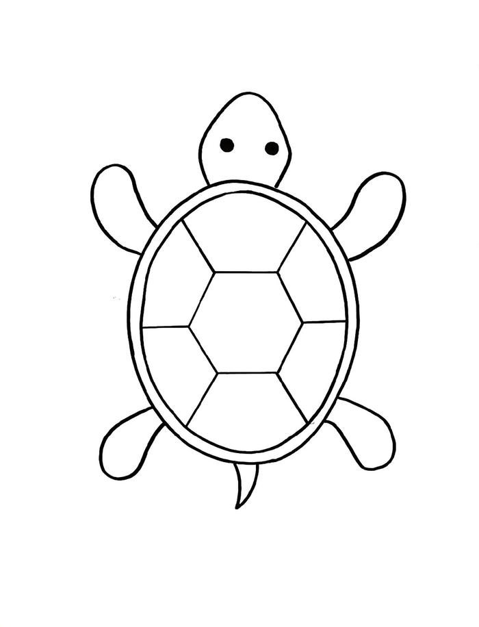 chủ đề tranh tô màu con rùa cho học sinh mẫu giáo