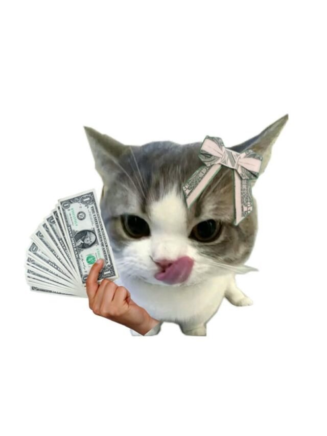 Bộ sưu tập 218+ ảnh hết tiền meme ai xem cũng phải bật cười