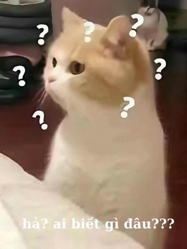 Tuyển chọn 233+ hình ai biết gì đâu meme cực kỳ hài hước