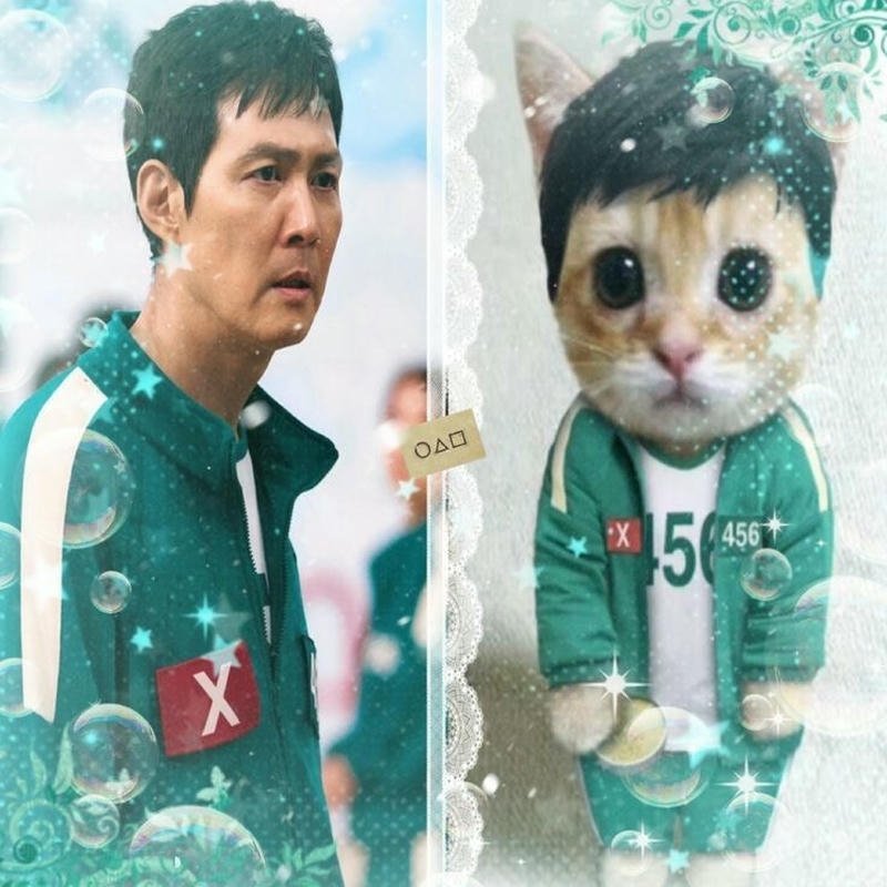 Ảnh chế ghép hình Meme Squid Game với con mèo