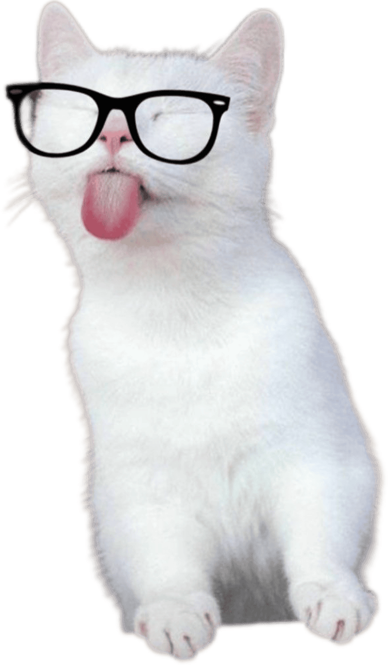 Ảnh mèo làm sticker đang lè lưỡi đeo kính