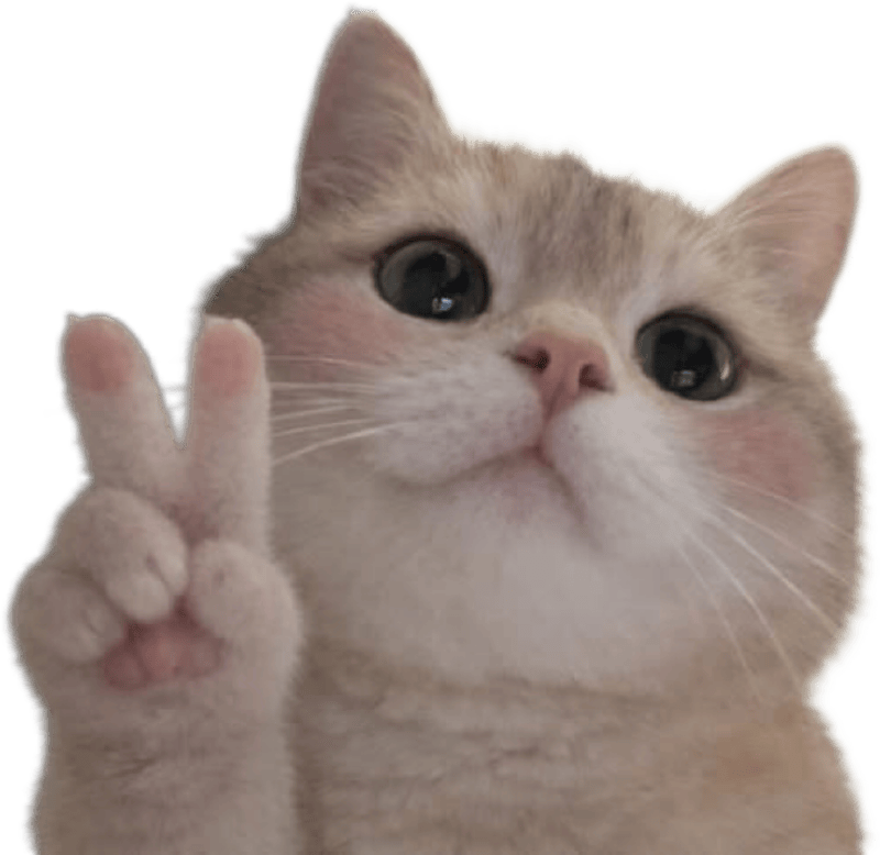 Ảnh mèo làm sticker đáng yêu siêu cấp dễ thương