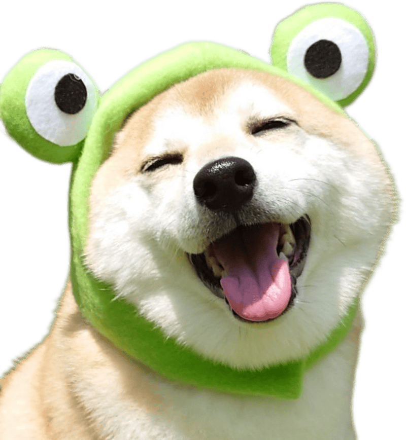 Ảnh sticker con vật cute tròn trĩnh cười đáng yêu