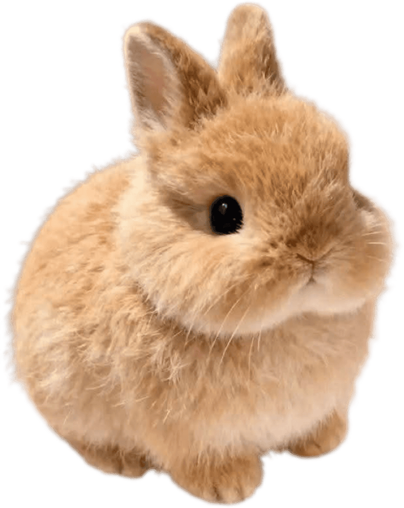 Ảnh sticker con vật cute vui vẻ