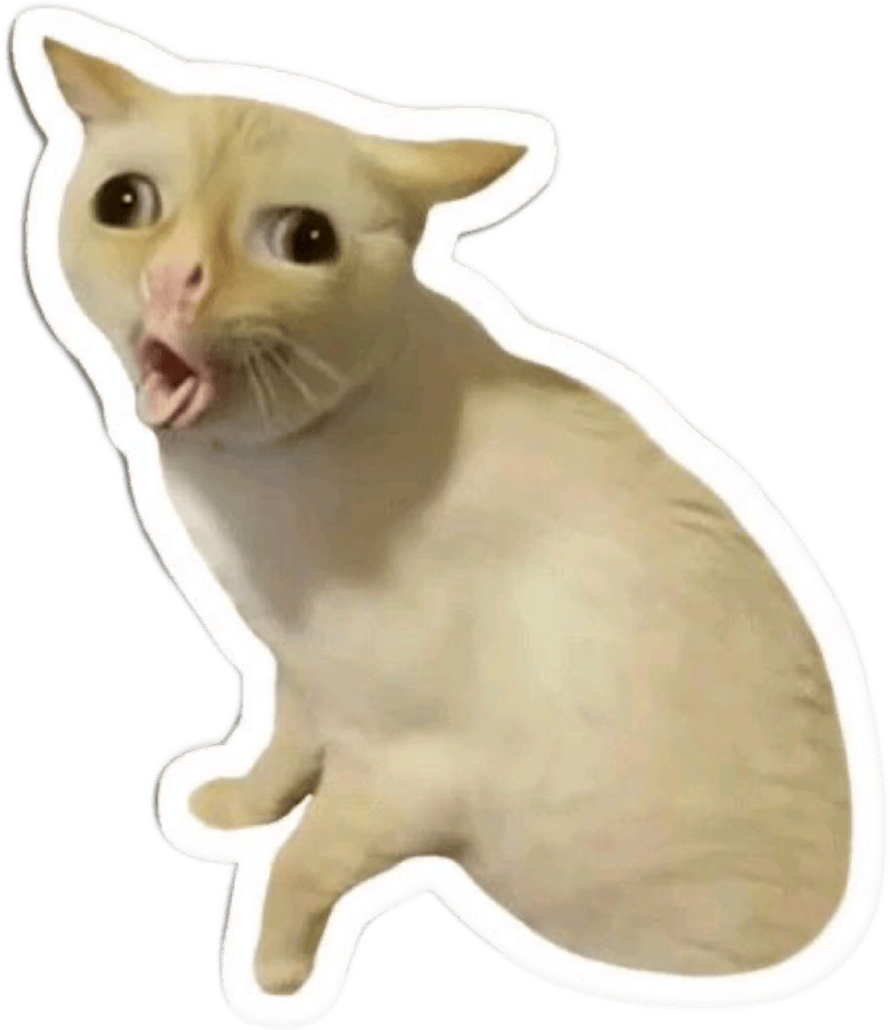 Ảnh sticker meme con mèo oẹ cực kỳ hài hước