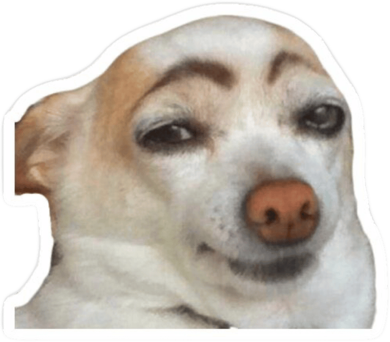 Ảnh sticker meme hài hước cực mạnh khiến ai cũng thích