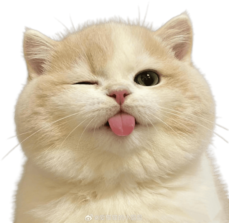 Ảnh sticker mèo cute vui vẻ tràn đầy năng lượng