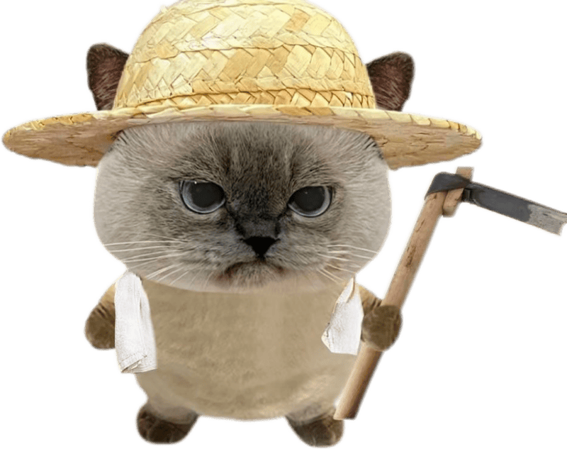 Ảnh sticker mèo vui nhộn mang lại tiếng cười