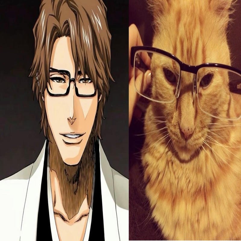 Hình Aizen meme gương mặt bình tĩnh cực chất
