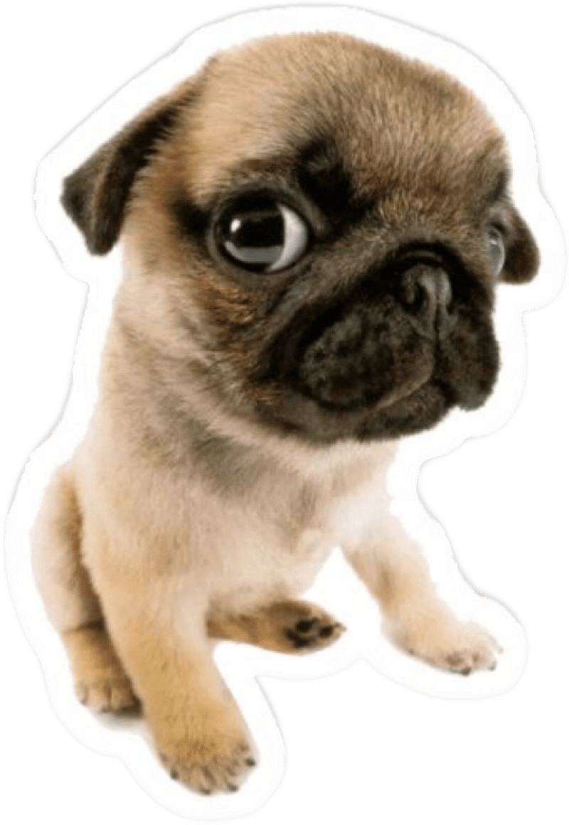 Hình ảnh sticker meme biểu cảm hài hước cực đỉnh