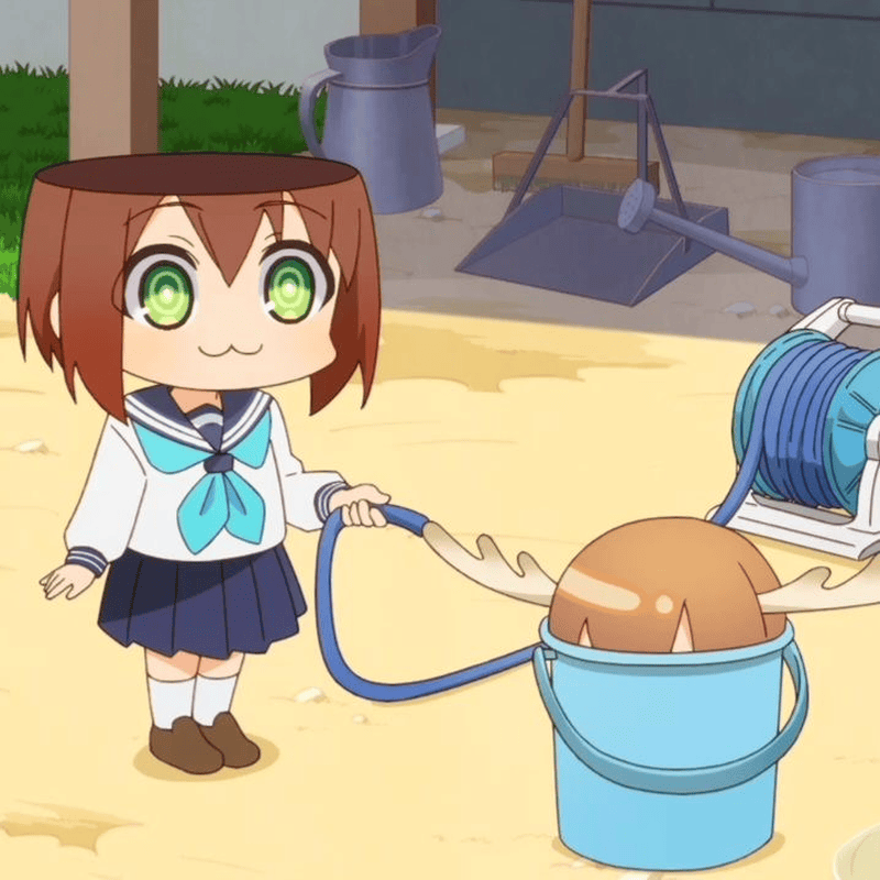 Hình meme anime Nokotan khiến bạn cười không ngớt