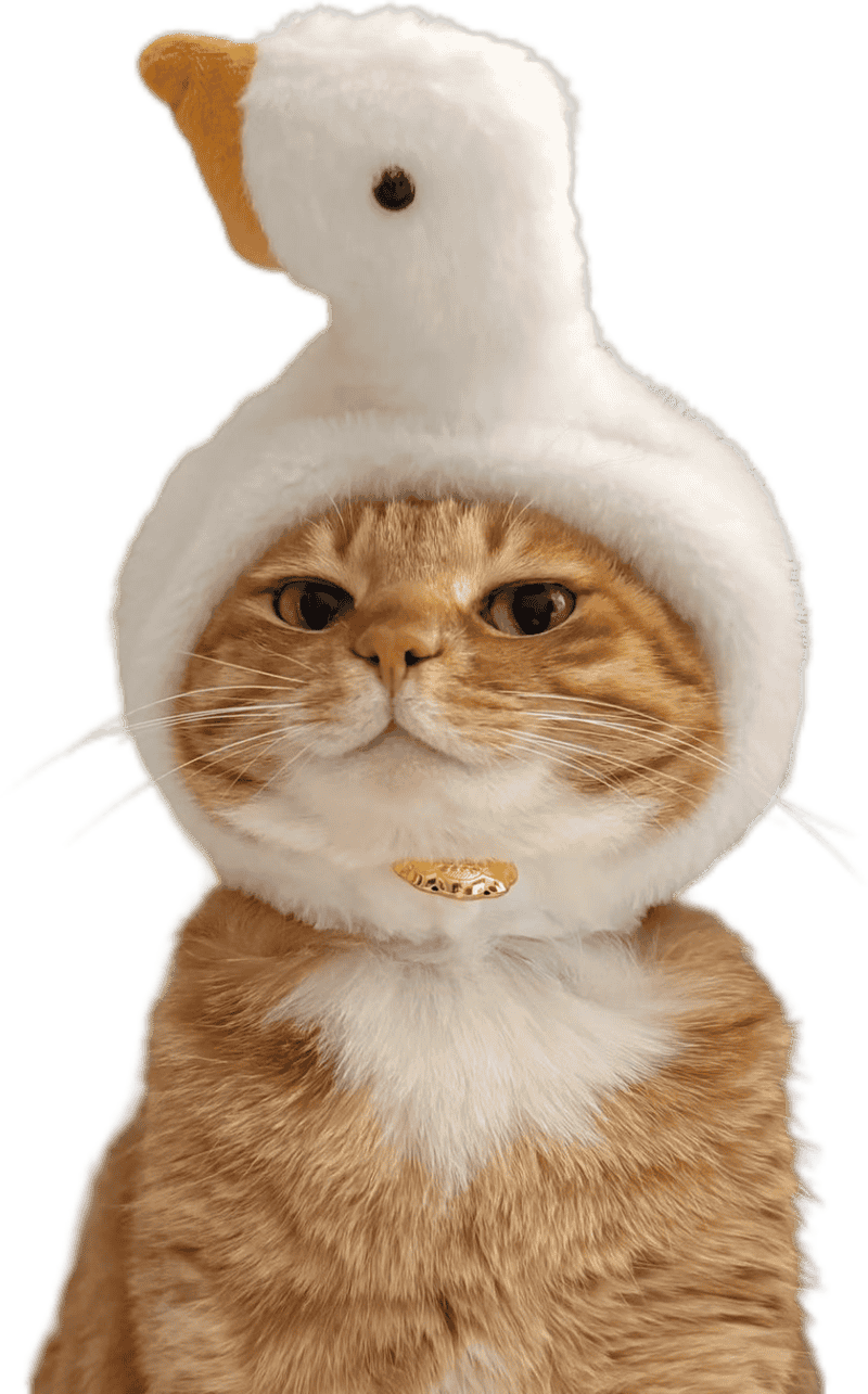 Hình mèo làm sticker đáng yêu biểu cảm dễ thương