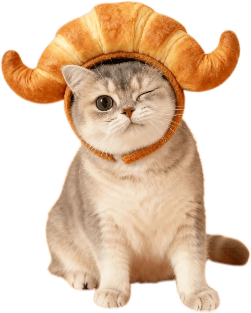 Hình mèo làm sticker đội bánh nhỏ nhắn siêu xinh