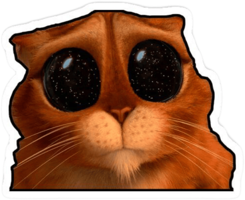 Hình sticker meme vui nhộn khiến bạn không nhịn cười