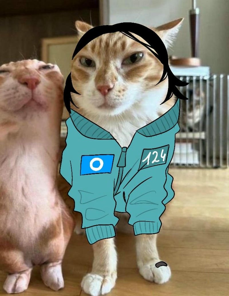 Meme Squid Game gương mặt con mèo gây cười
