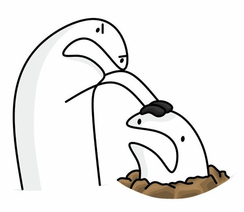Meme flork biểu cảm hài hước cực viral trên mạng
