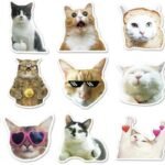 Nhãn dán bựa thumbnail