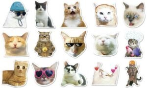 Nhãn dán bựa thumbnail