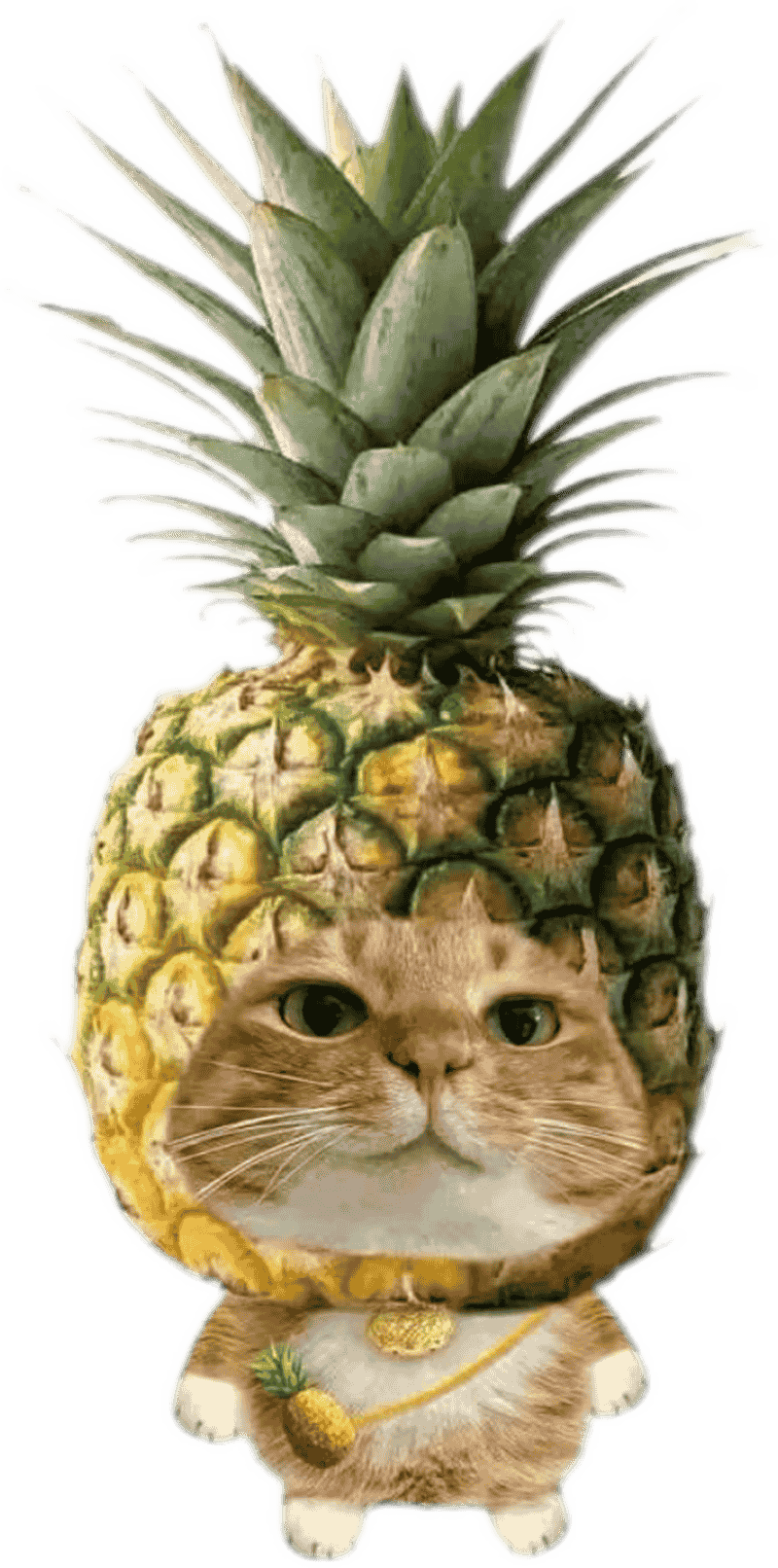 Nhãn dán con vật hài hước ghép ảnh bá đạo