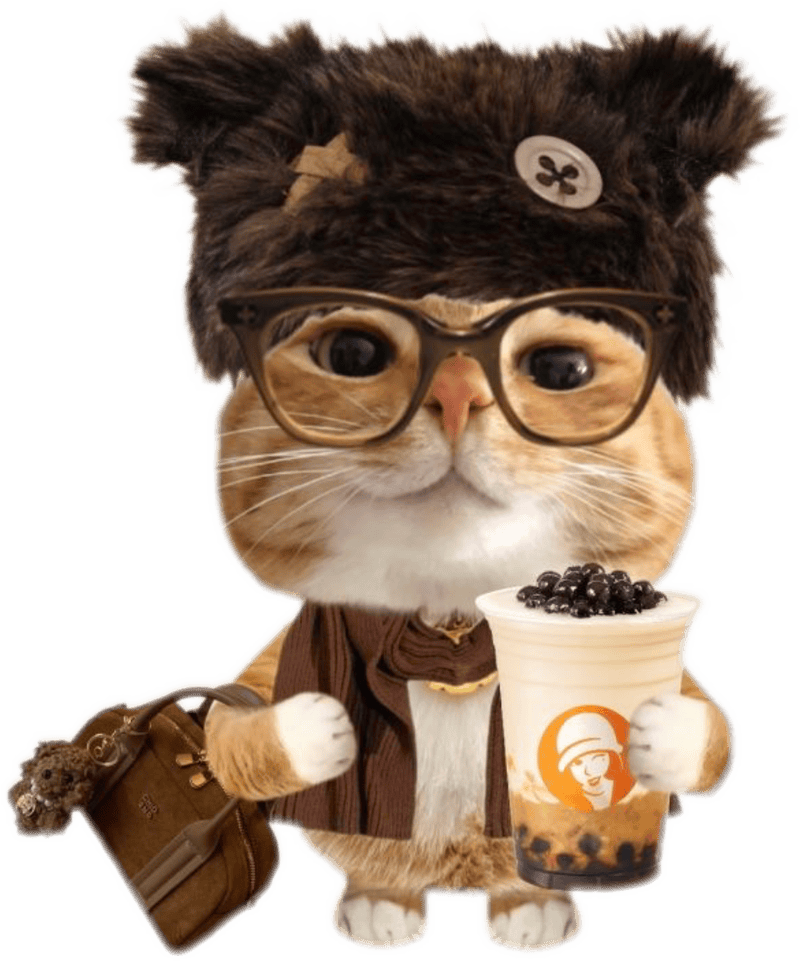 Nhãn dán mèo cute đáng yêu đậm chất dễ thương