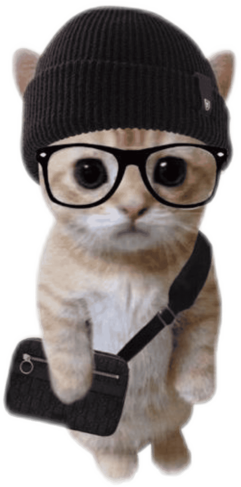 Nhãn dán mèo dễ thương phong cách xinh xắn