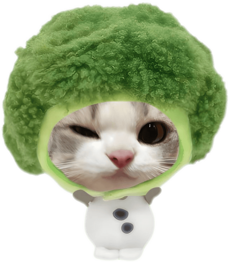 Sticker con vật lầy lội biểu cảm nháy mắt