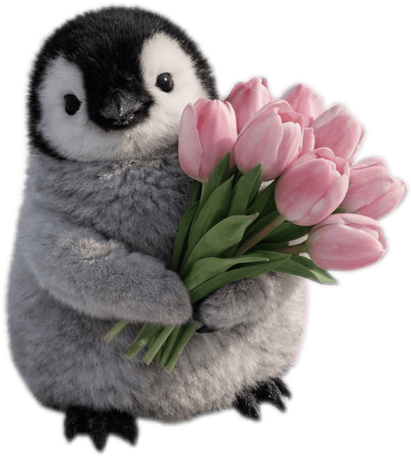 Sticker con vật ngộ nghĩnh chim cánh cụt ôm hoa