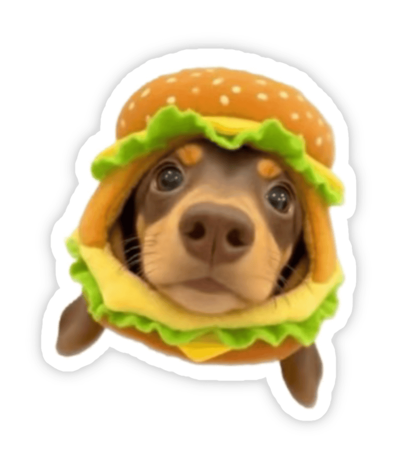 Sticker dễ thương biểu cảm xinh xắn khiến ai cũng thích