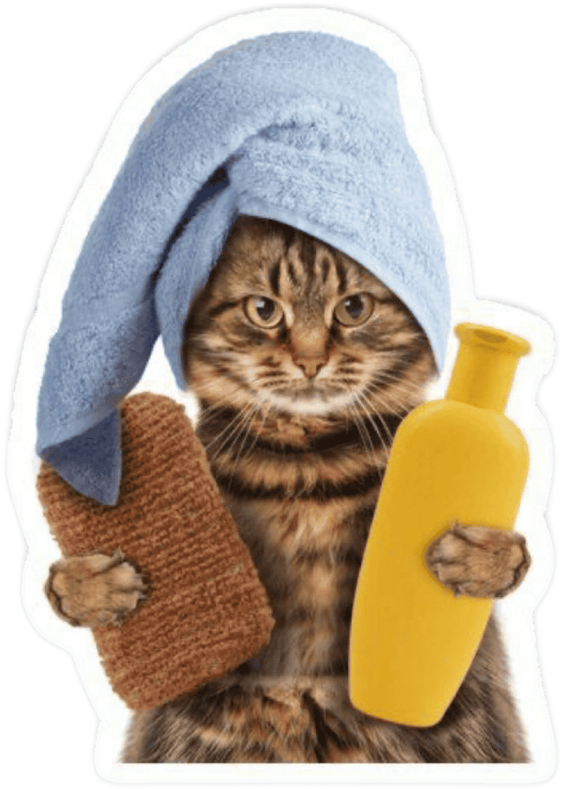 Sticker meme bá đạo siêu bựa dùng chat cực chất