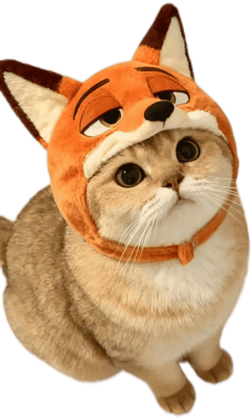 Sticker mèo cute đội mũ cáo cực xinh