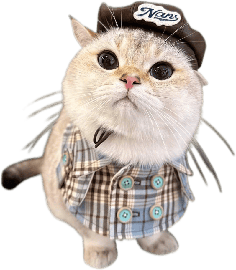 Sticker mèo cute mặc áo đáng yêu cực kì