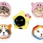 Sticker mèo thumbnail