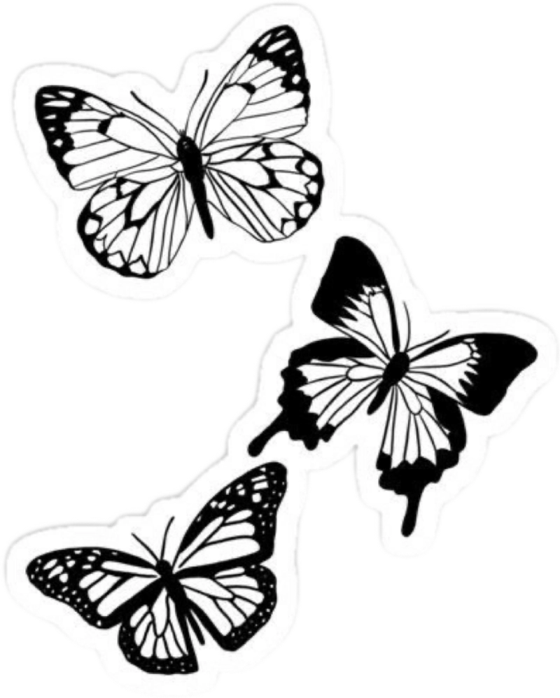 Ảnh sticker trắng đen cute 3 con bướm