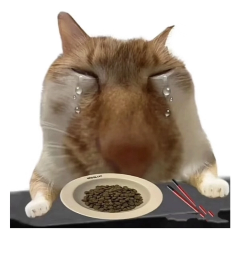 Hình ảnh meme mèo khóc gương mặt dễ thương