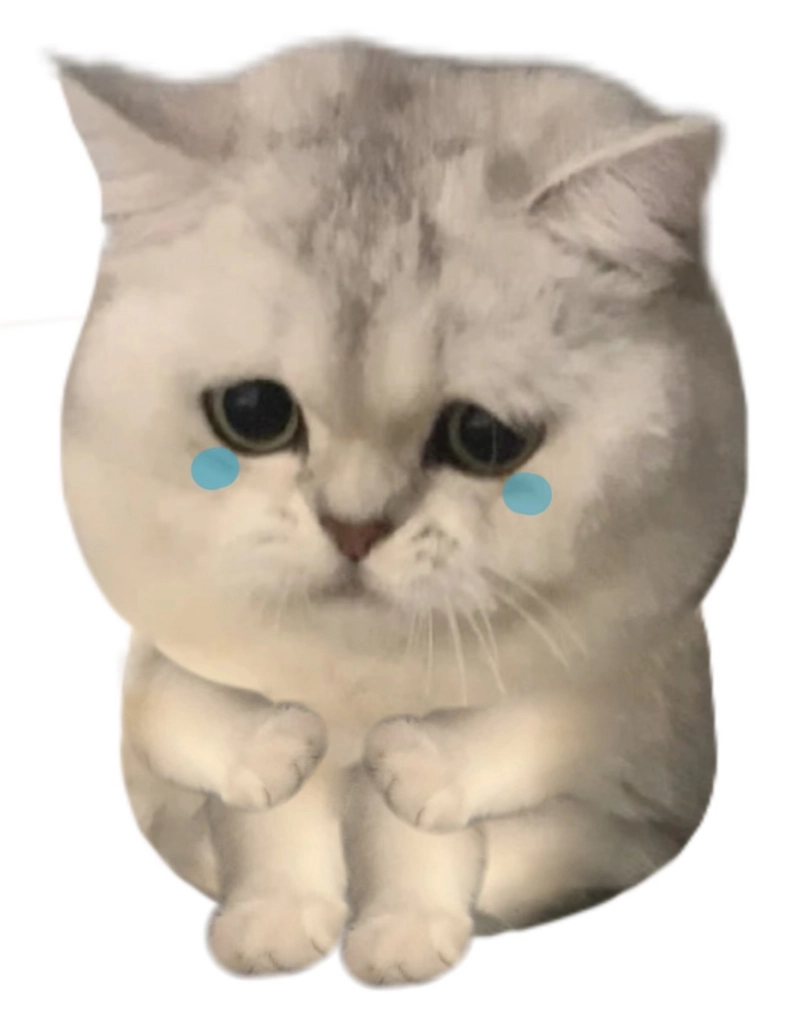 Hình meme mèo khóc ánh mắt ướt át cute
