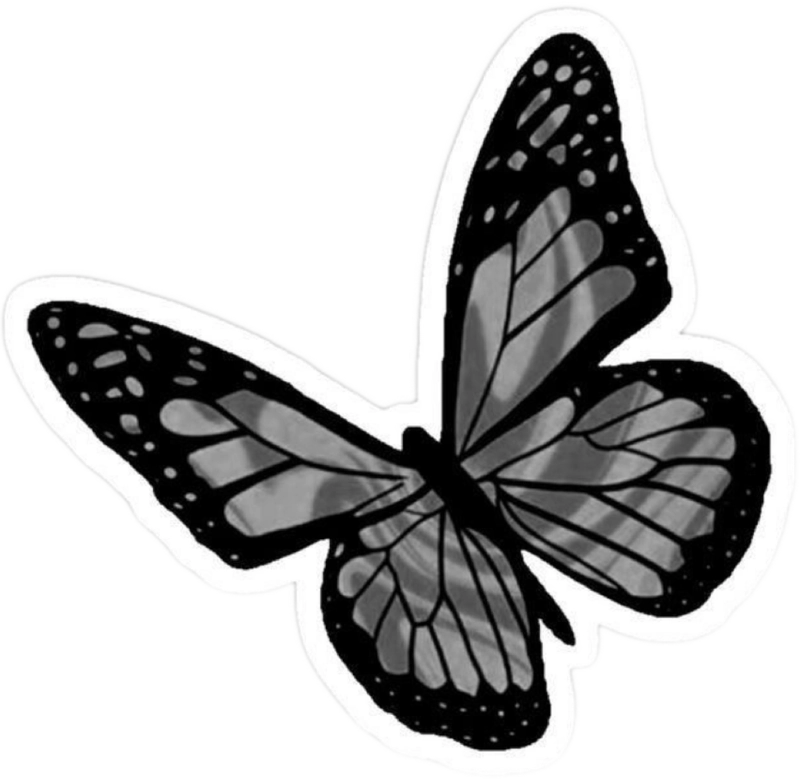Icon sticker trắng đen cute con bướm đen