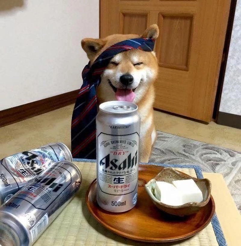 Meme chó bựa biểu cảm hài hước