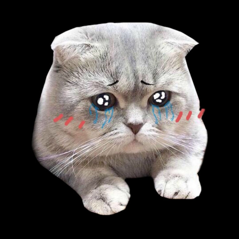 Meme mèo khóc một cách dỗi hờn
